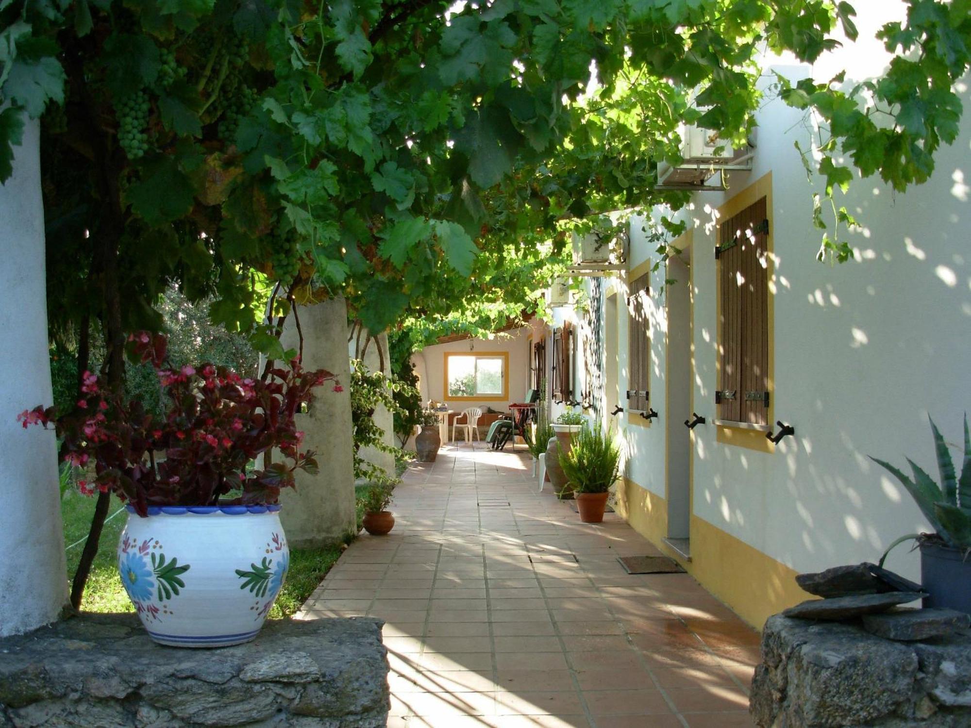 Quinta Paraiso Alagoa Εξωτερικό φωτογραφία